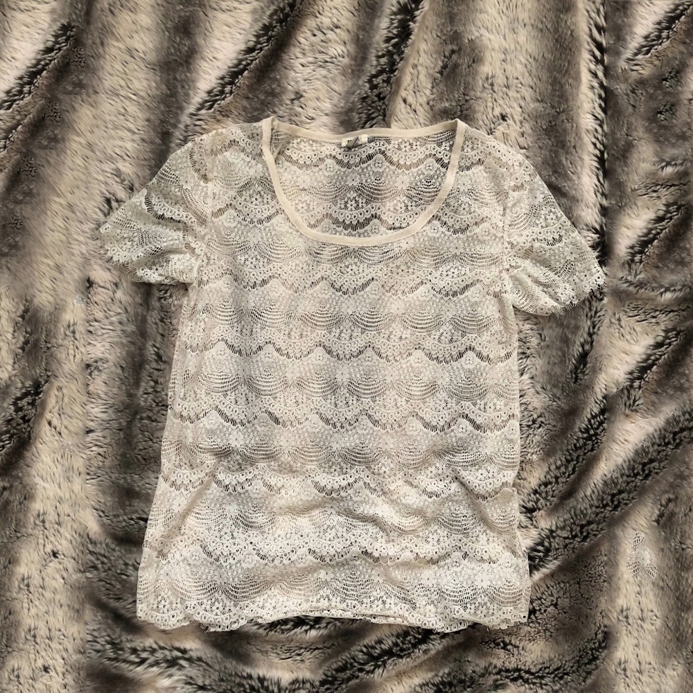 Fossil Brand Eyelash Lace Shirt in Blush